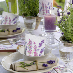 Cortimex Nagykereskedés és Webshop