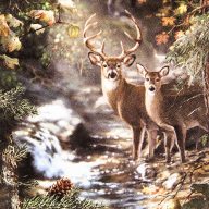   Deers on a Creek szalvéta, 3 rétegű, 20 db/csomag, Home Fashion