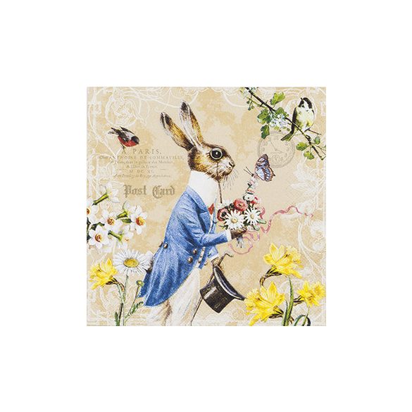 Mr. Rabbit húsvéti nyuszis szalvéta, 3 rétegű, 20 db/csomag, Home Fashion