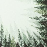   Fenyőerdő szalvéta, 3 rétegű, 20 db/csomag, Home Fashion