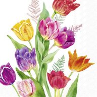   Bright tulips tulipános szalvéta (koktél), 3 rétegű, 20 db/csomag, IHR