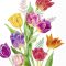 Bright tulips tulipános szalvéta (koktél), 3 rétegű, 20 db/csomag, IHR