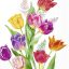 Bright tulips tulipános szalvéta (koktél), 3 rétegű, 20 db/csomag, IHR