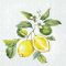 Lemon wreath citromos szalvéta (koktél), 3 rétegű, 20 db/csomag, IHR