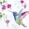 Hummingbird kolibris szalvéta (koktél), 3 rétegű, 20 db/csomag, IHR