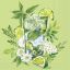 Green cocktail mojitos szalvéta (koktél), 3 rétegű, 20 db/csomag, IHR