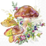   Mushroom season gombás szalvéta (koktél), 3 rétegű, 20 db/csomag, IHR