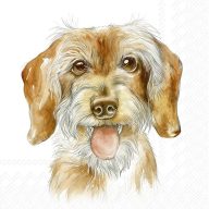   Fritz tacskós szalvéta (koktél), 3 rétegű, 20 db/csomag, IHR