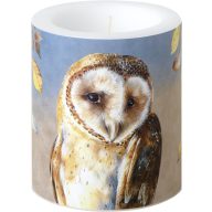 Evie baglyos, átvilágítós gyertya 10,5 cm IHR