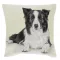 Border collie díszpárna huzat