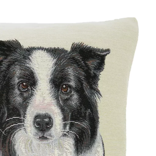 Border collie díszpárna huzat