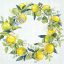 Lemon wreath citromos szalvéta, 3 rétegű, 20 db/csomag, IHR