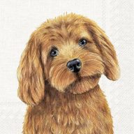 Farm dog kutyás szalvéta, 3 rétegű, 20 db/csomag, IHR