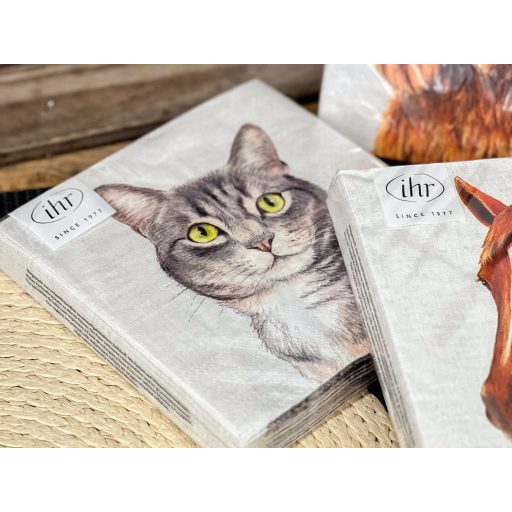 Farm cat cicás szalvéta, 3 rétegű, 20 db/csomag, IHR