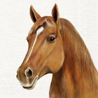 Farm horse lovas szalvéta, 3 rétegű, 20 db/csomag, IHR