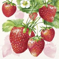   Strawberry fruits epres szalvéta (koktél), 3 rétegű, 20 db/csomag, IHR