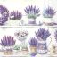 Lavender pots levendulás szalvéta, 3 rétegű, 20 db/csomag, IHR