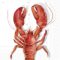 Lobster homáros szalvéta, 3 rétegű, 20 db/csomag, IHR