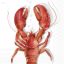 Lobster homáros szalvéta, 3 rétegű, 20 db/csomag, IHR