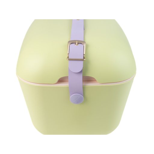 Polarbox classic hűtőtáska, 20 liter, halvány lime